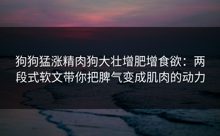 狗狗猛涨精肉狗大壮增肥增食欲：两段式软文带你把脾气变成肌肉的动力