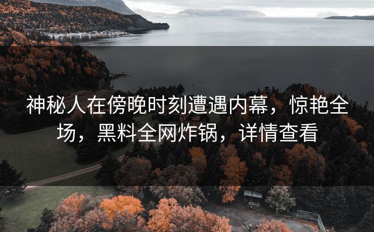 神秘人在傍晚时刻遭遇内幕，惊艳全场，黑料全网炸锅，详情查看  第1张